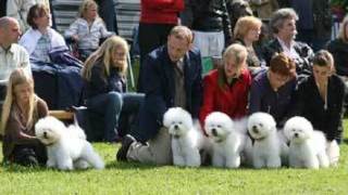 070519-hassleholm-bis2-avel