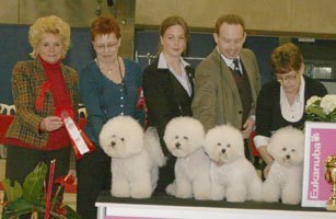 080217-odense-bis1-avelsk