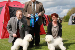 160514-gorlev-baskaran-sonya-bob-zeus-bos