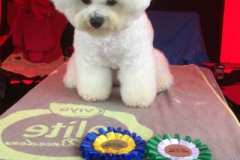 160702-boras-elsa-cert
