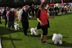 140816-bornholm-breeder-charlie-sigge-berit-sheela-2-large