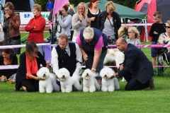 140816-bornholm-breeder-charlie-sigge-berit-sheela-3-large