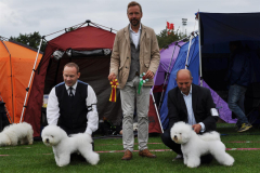 140817-bornholm-bob-sigge-bos-sheela-2-large