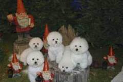 liten-tomte-3
