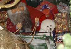 sleigh-5