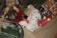 sleigh-8