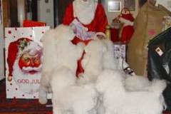 tomte-hundar-2