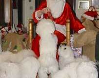 tomte-paket