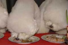 eating-4