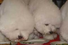 eating
