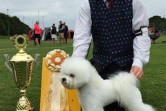 150719-vejen-sonya-gold-cup-3-1