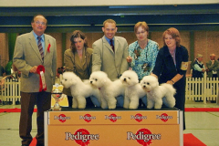 050612-hillerod-breeder