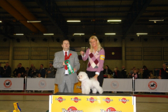 berit-final-1