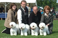 bichon_uppf_stenungsund_05