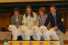 breeders-group-1-1