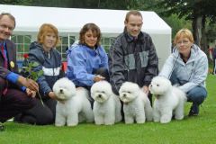 breeders-group