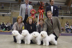 breedersgroup-bis-1