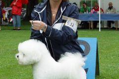 kurt-1