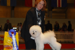kurt-big2-1