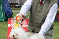 1-berit-bisveteran-1-1