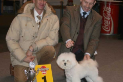 1-berit-bisveteran-1