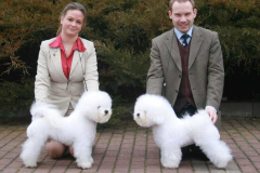 1-bob-bos-dresden-080322