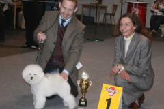 2-berit-bisveteran-1