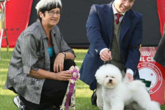 2-berit-bisveteran-3