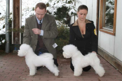 2-bob-bos-dresden-080323