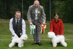 bir-wilma-bim-milou-1