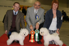 bob-bos-malmo-080315