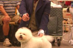 bosveteran-wwveteran-08-berit