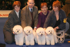 breedersgroup-bis2-2