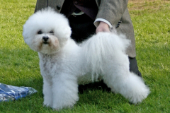 berit-0809
