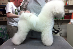 120620-charlie-profil-1-medium