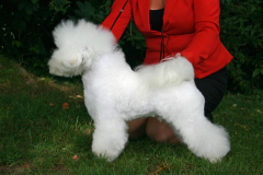 120908-charlie-4-medium