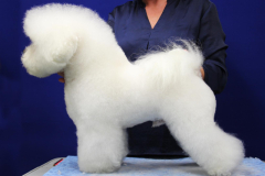 140903-charlie-profil-2-large