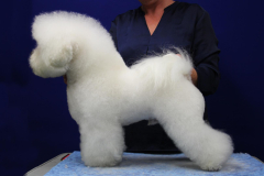 140903-charlie-profil-3-large