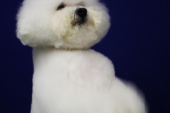 140903-charlie-sit-1-large