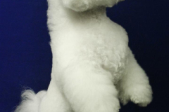 140903-charlie-sit-10-large