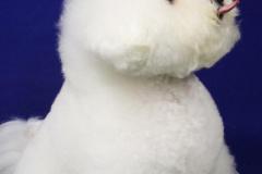 140903-charlie-sit-11-large