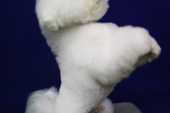 140903-charlie-sit-12-large