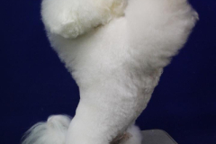 140903-charlie-sit-13-large