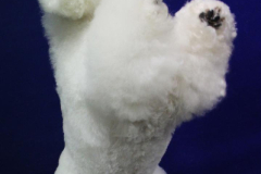 140903-charlie-sit-2-large