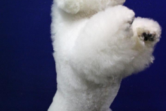 140903-charlie-sit-3-large