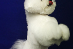 140903-charlie-sit-4-large