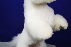 140903-charlie-sit-5-large