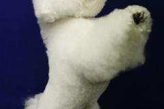 140903-charlie-sit-6-large