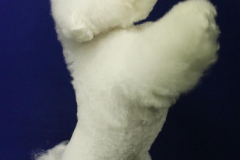 140903-charlie-sit-7-large