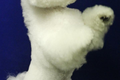 140903-charlie-sit-8-large